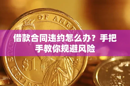 武汉借款合同违约怎么办？手把手教你规避风险