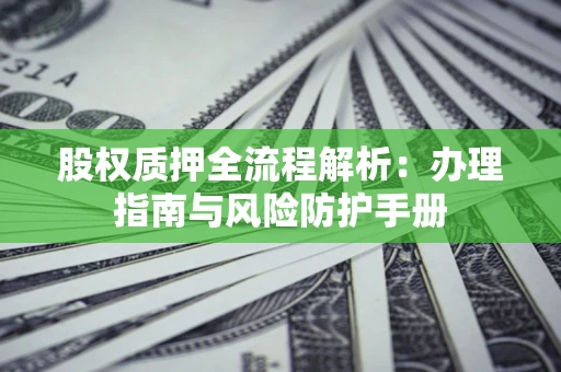 武汉股权质押全流程解析：办理指南与风险防护手册